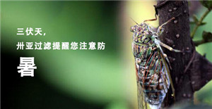 【三伏天】天氣炎熱，請不要做這些事情